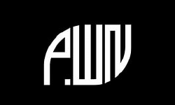 Featured image of post PWN